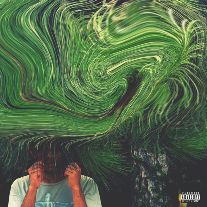 CD A Floresta, do Mr.Kim